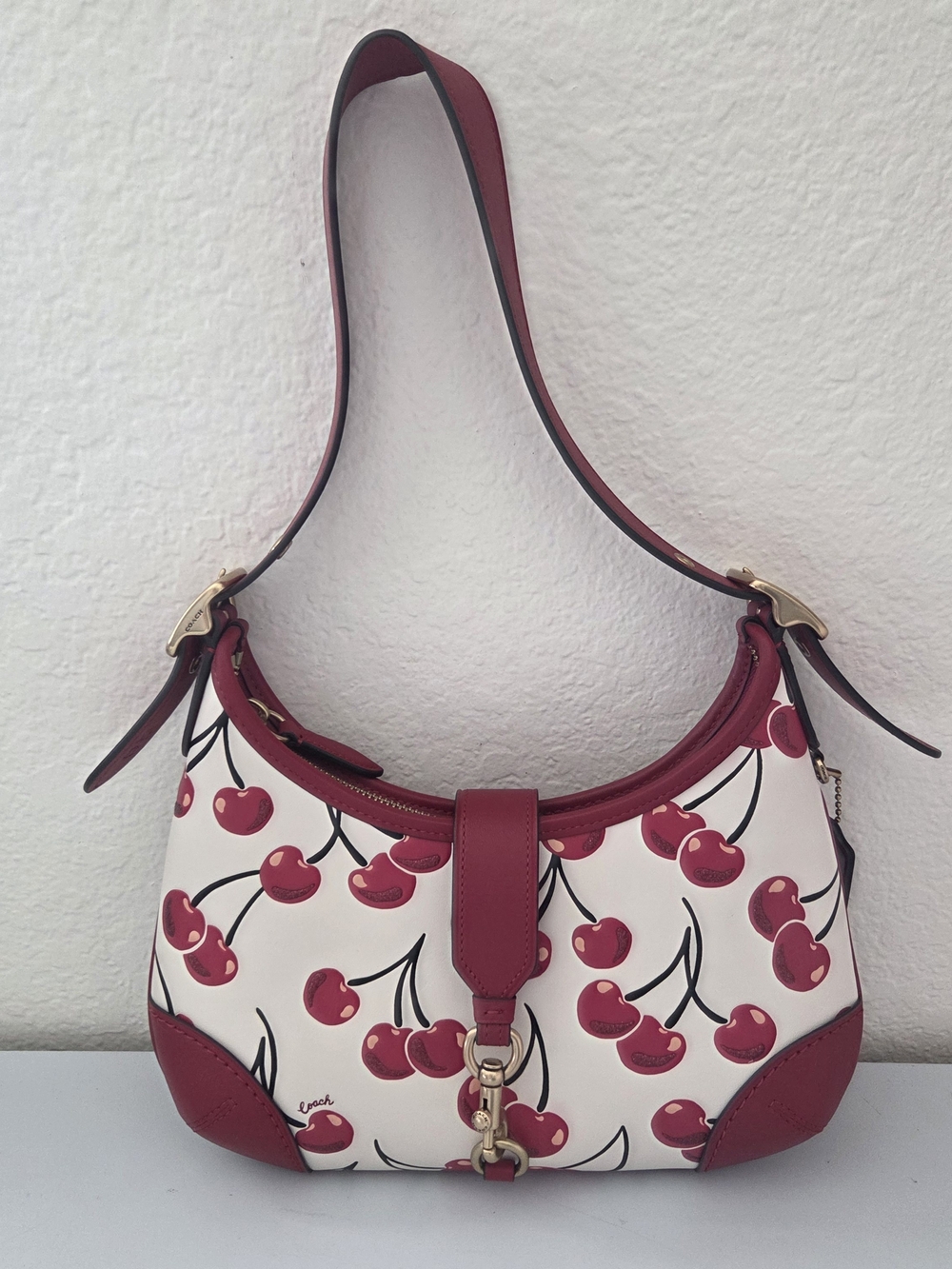 COACH Hamptons Hobo Bag with Cherry Print